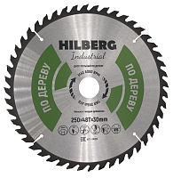 Диск пильный по дереву 250*30*48Т Hilberg Industrial (1 шт.) 